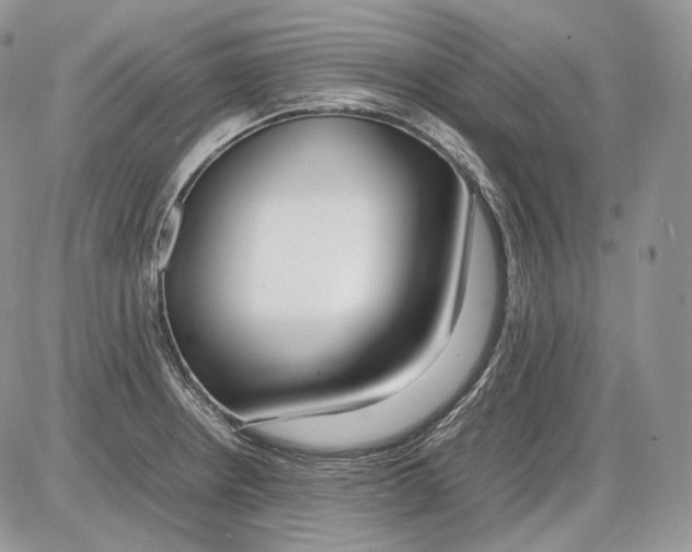 X0000086081234200704202143