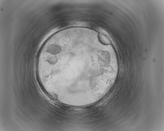 X0000086081235200704202143