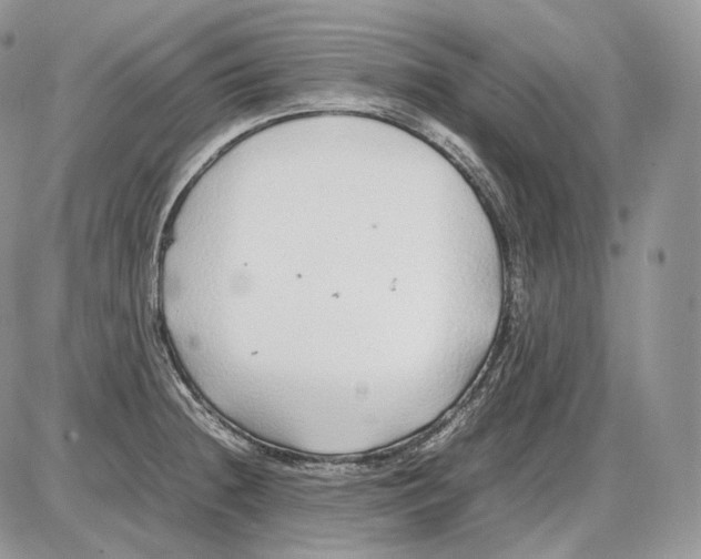 X0000086081236200704202143