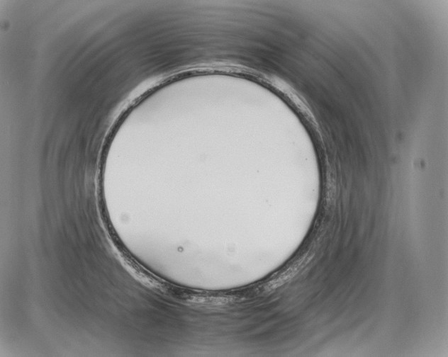 X0000086081237200704202143