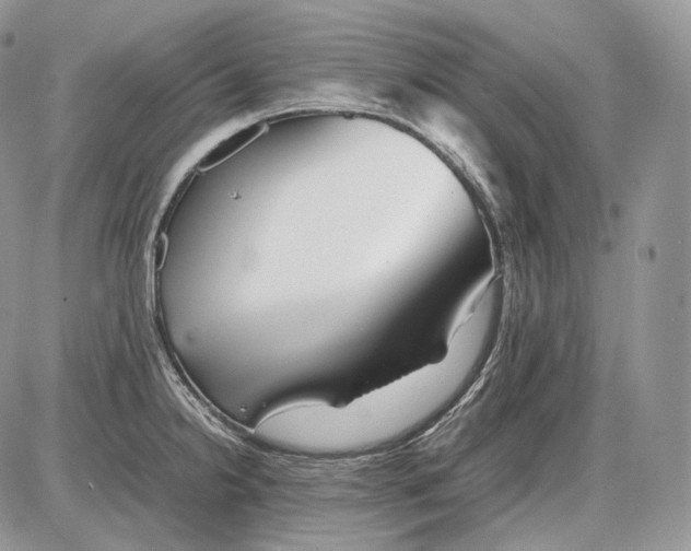 X0000086081238200704202143