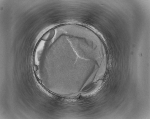 X0000086081239200704202143