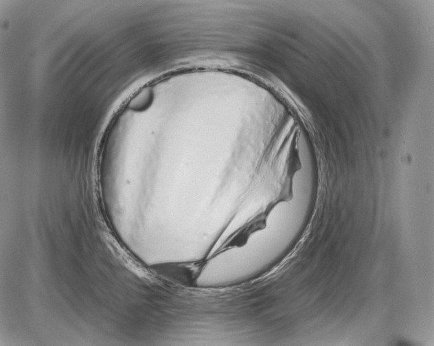 X0000086081240200704202143