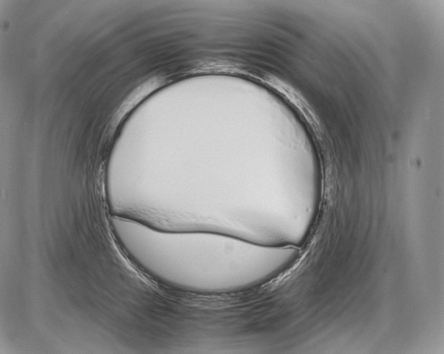 X0000086081241200704202143