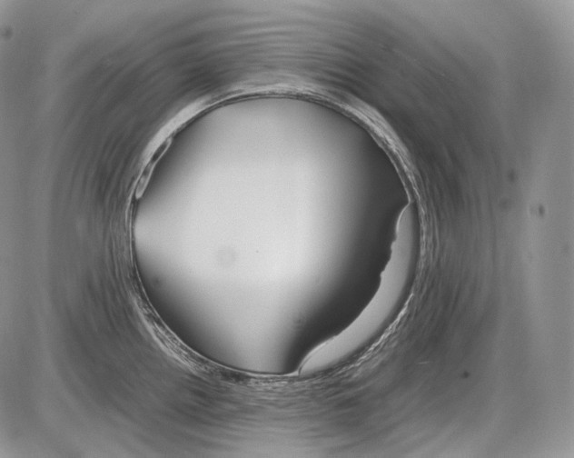 X0000086081242200704202143