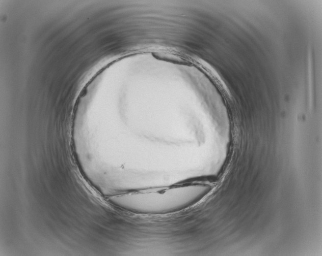 X0000086081244200704202143