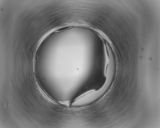 X0000086081246200704202143