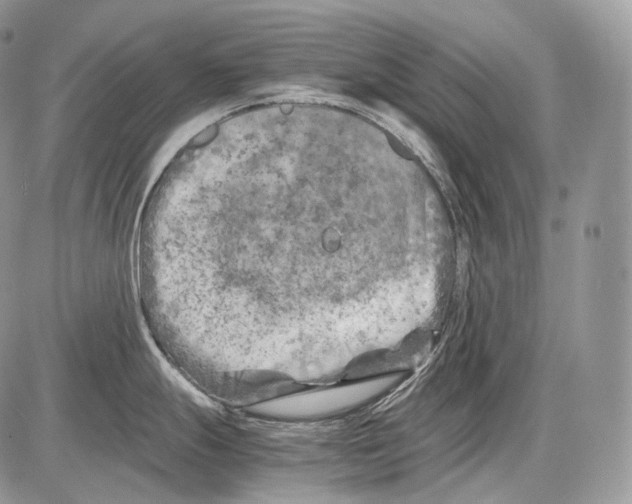 X0000086081247200704202143