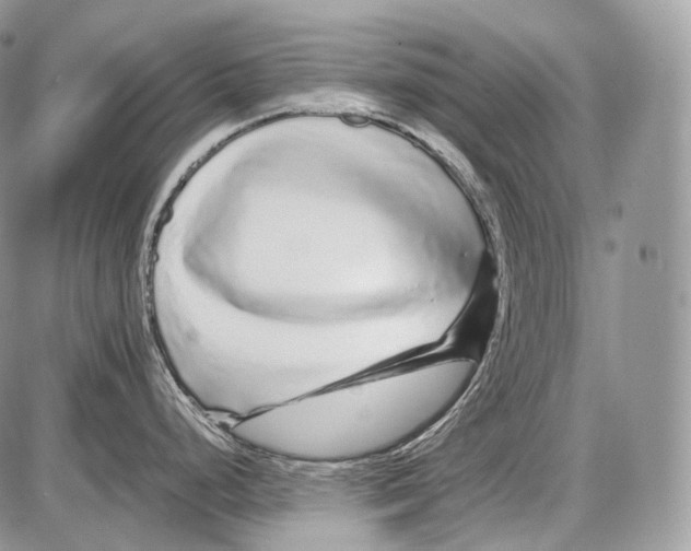 X0000086081248200704202143