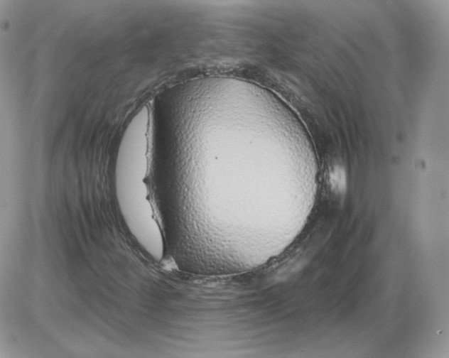 X0000086081252200704202142