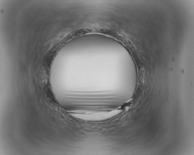 X0000086081253200704202142