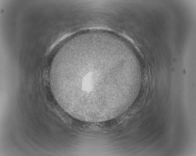 X0000086081255200704202142