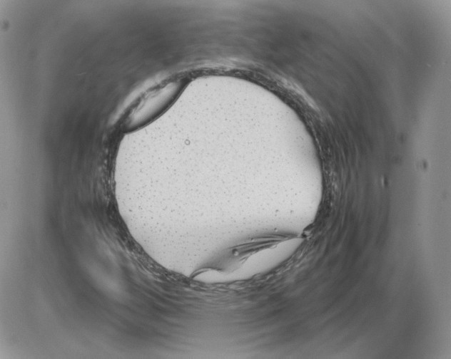 X0000086081256200704202142