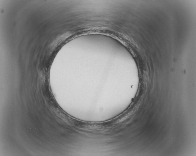 X0000086081257200704202142