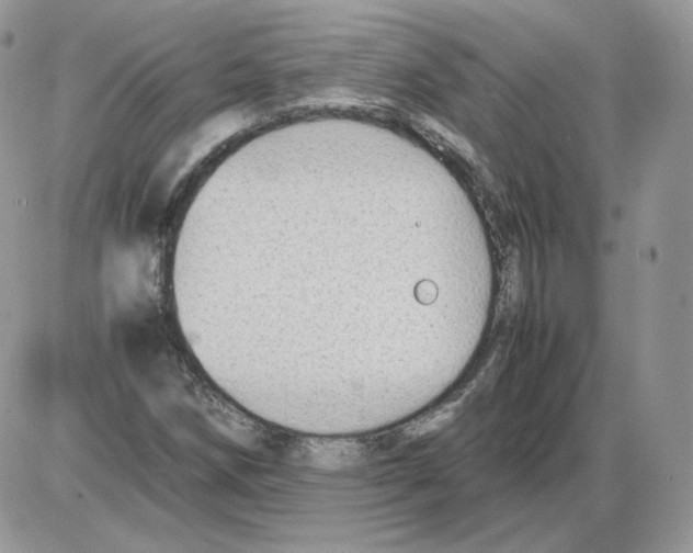 X0000086081258200704202142