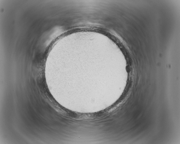 X0000086081259200704202142