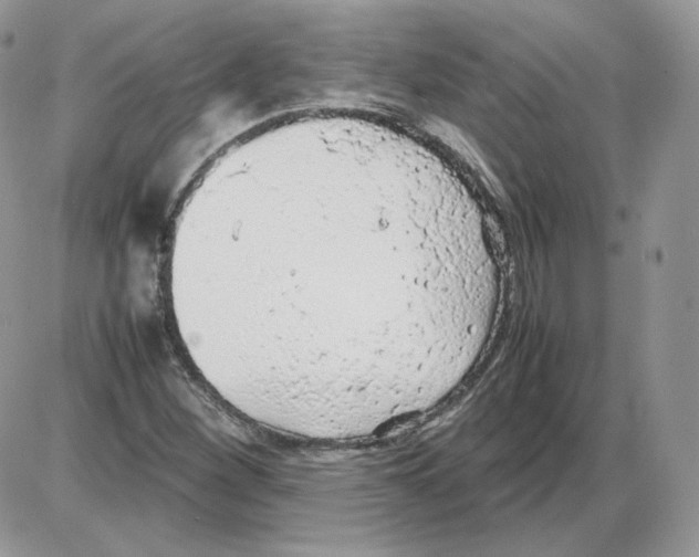 X0000086081260200704202142