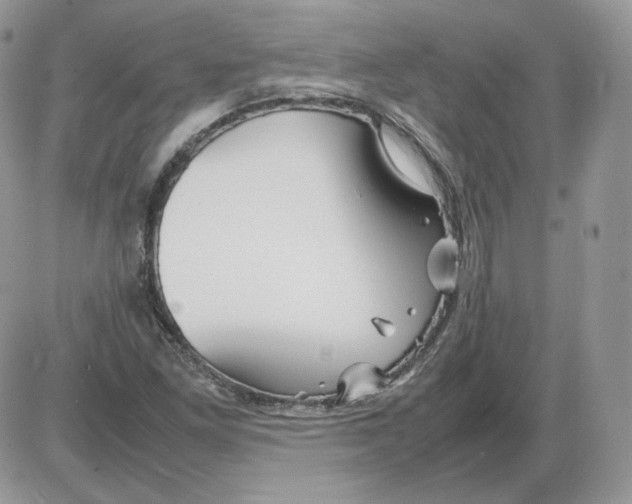 X0000086081261200704202142