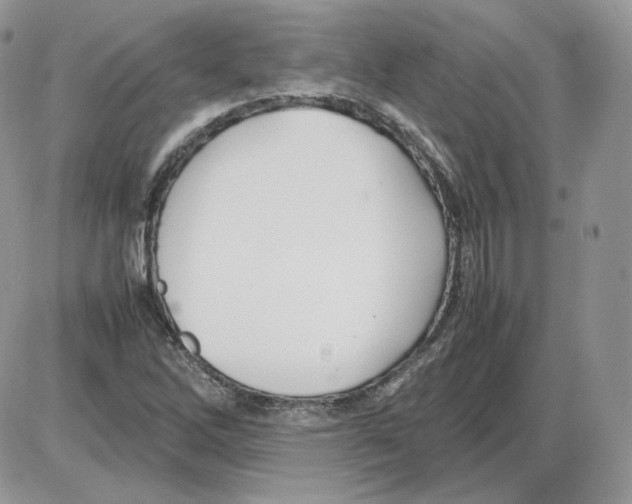 X0000086081262200704202142