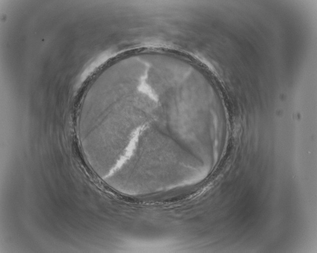 X0000086081263200704202142