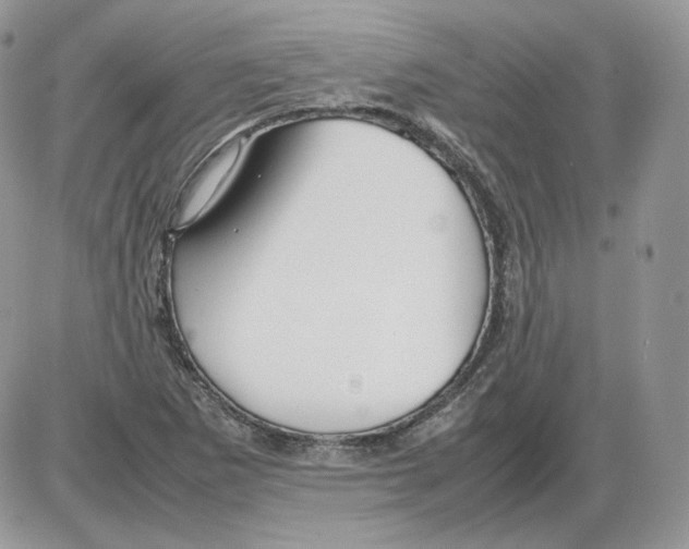 X0000086081265200704202142