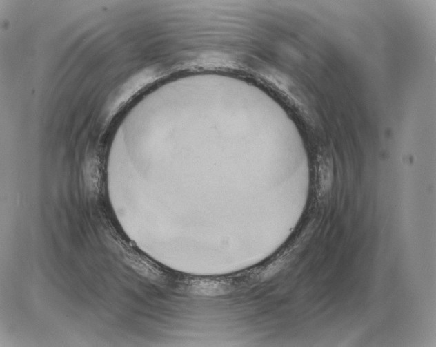 X0000086081266200704202142