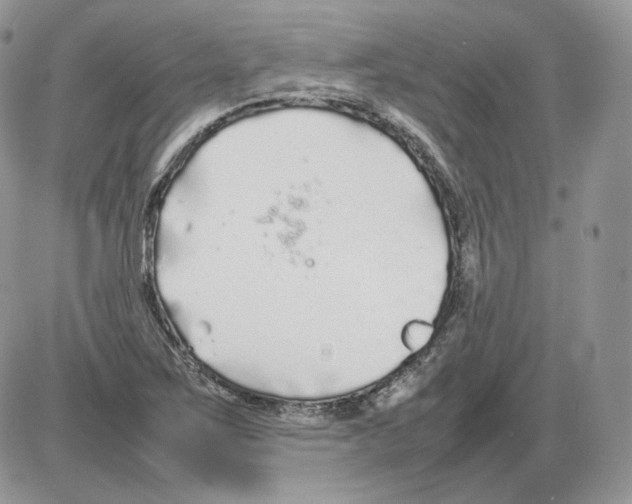 X0000086081267200704202142