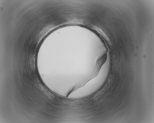 X0000086081268200704202142