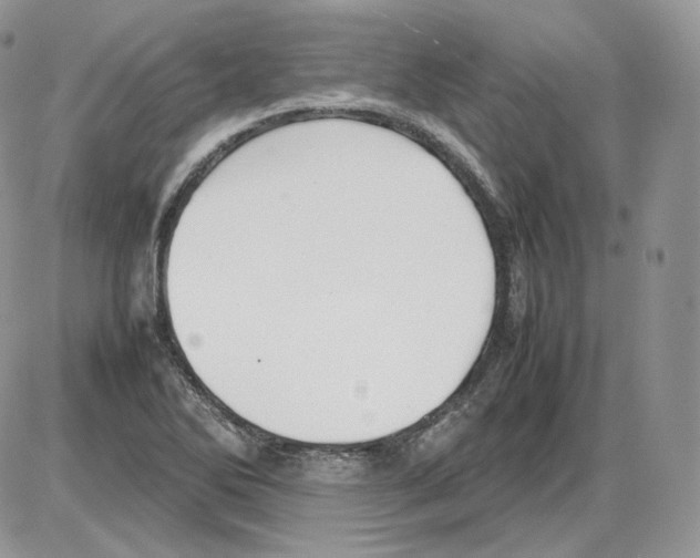 X0000086081270200704202142