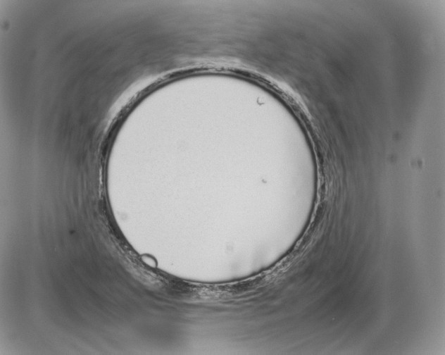 X0000086081271200704202142