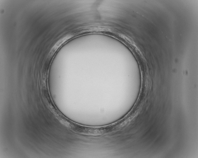 X0000086081273200704202142