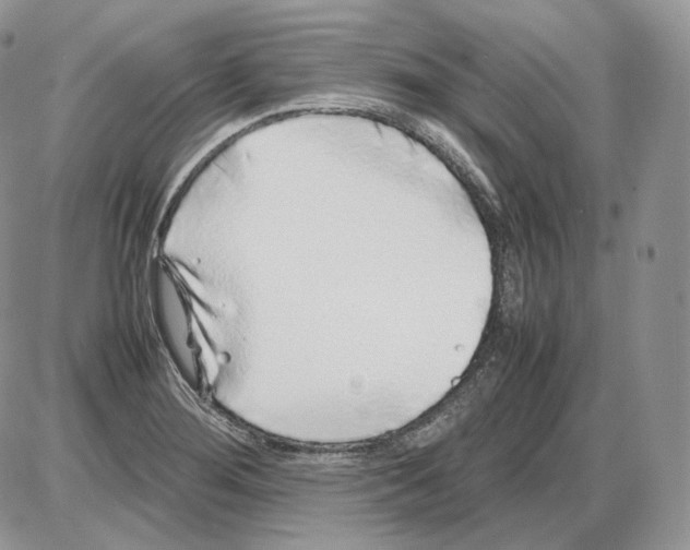 X0000086081276200704202142