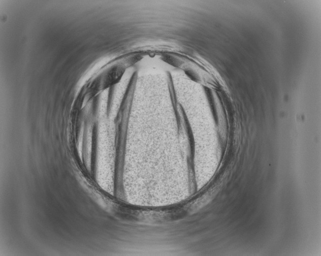 X0000086081277200704202142