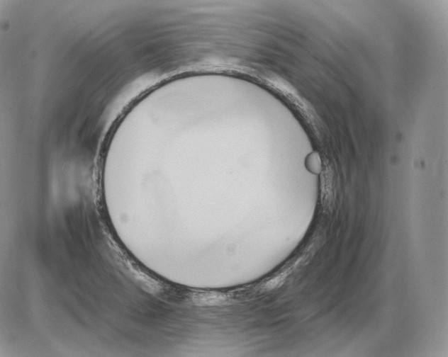 X0000086081278200704202142