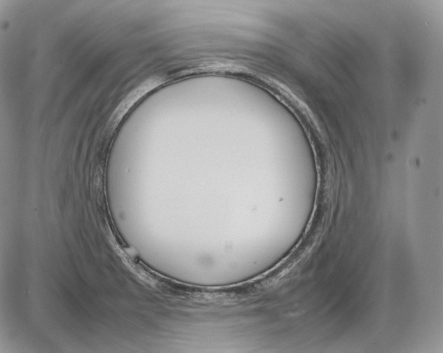 X0000086081281200704202142