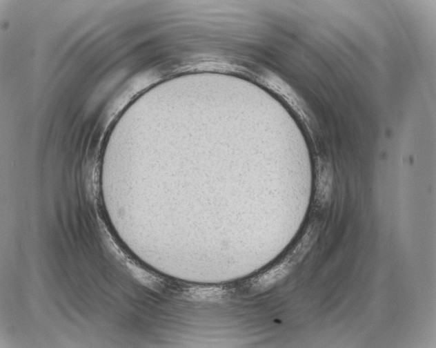 X0000086081282200704202142