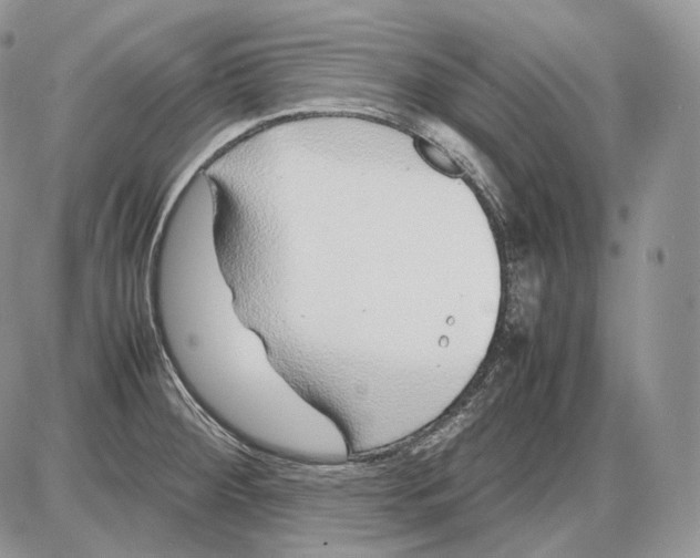 X0000086081284200704202142