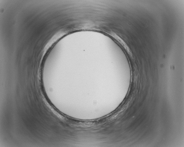 X0000086081285200704202142