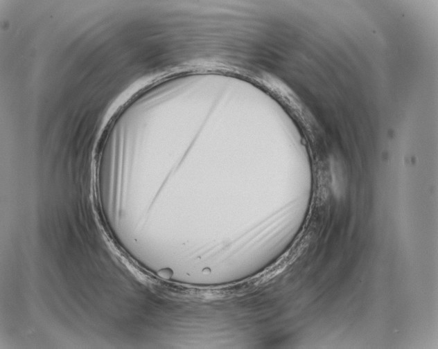 X0000086081286200704202142