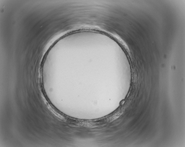 X0000086081287200704202142