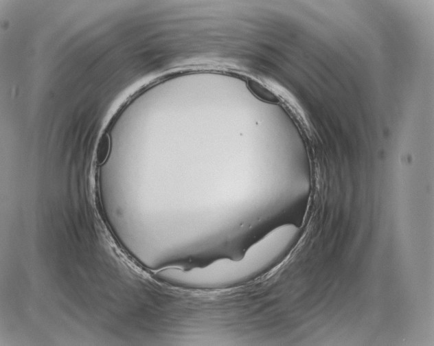 X0000086081288200704202142