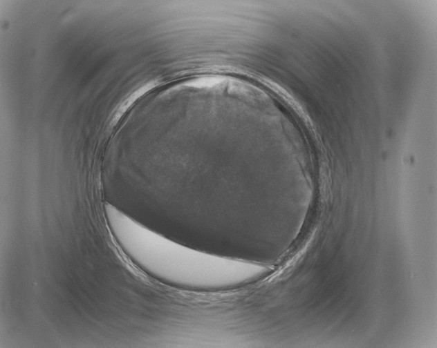 X0000086081289200704202142