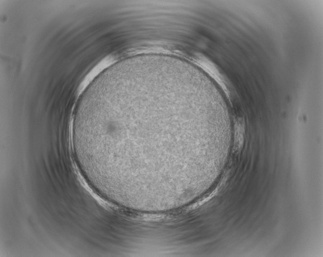 X0000086081290200704202142