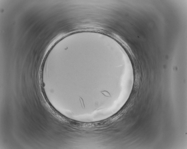 X0000086081291200704202142