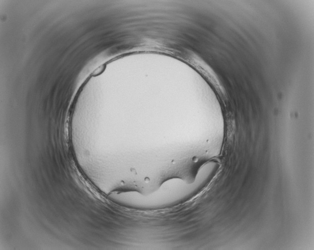 X0000086081292200704202142