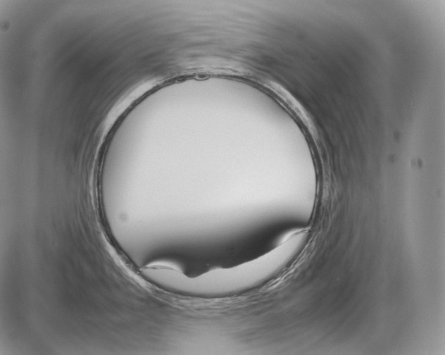 X0000086081293200704202142