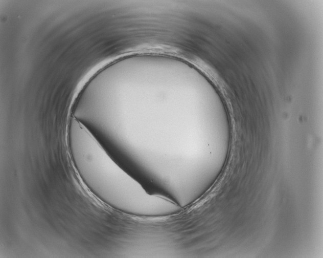 X0000086081296200704202142