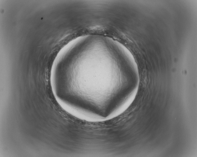 X0000086081301200704202141