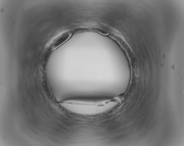 X0000086081304200704202141