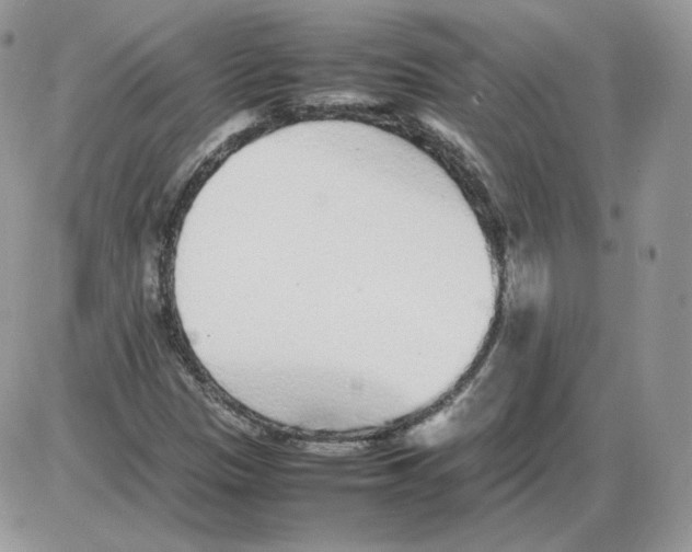 X0000086081305200704202141